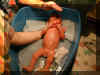 Nate_FirstBath3.jpg (68501 bytes)