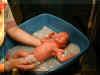 Nate_FirstBath.jpg (59164 bytes)