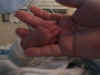 Nate and Jonathan's hands together  (70694 bytes)