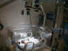 Nate getting photo/light therapy for jaundice Part 2  (61233 bytes)