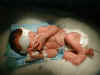 Hopefully last day of photo/light therapy for Nate - Jaundice levels are down!  =)  Part  (254640 bytes)