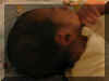 Nate_Sleeping2.jpg (54299 bytes)
