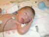 Very first digital camera shots of Nate  (63123 bytes)