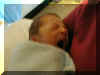 Nate_Yawning.jpg (65374 bytes)