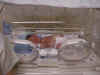 Nate in his incubator  (59023 bytes)