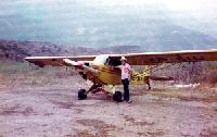 The Piper Cub, XB-XID
