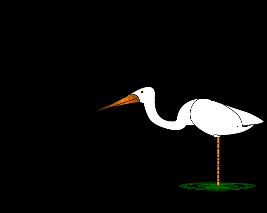 Clique na anima��o e entre em aves!