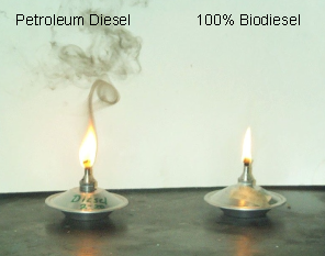 Biodiesel vs Petrodiesel smoke