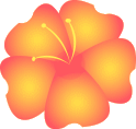 Josh & Lee's Bonsai's Website