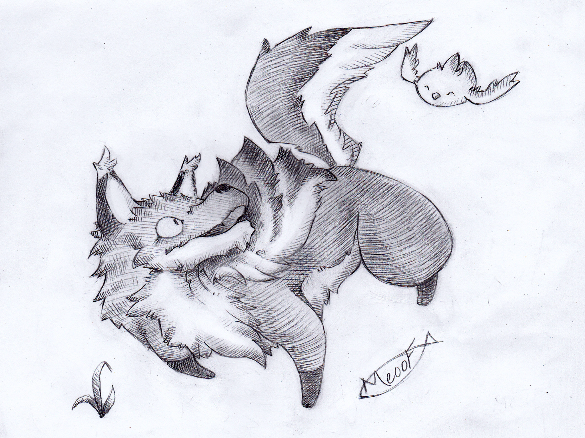 wolvarfan