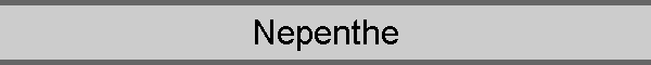 Nepenthe