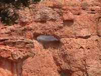 Small arch at Bryce