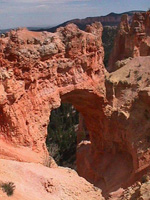 the Natural Bridge