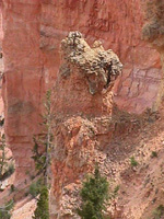 cap rock