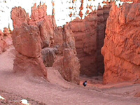Trails into Bryce Canyon