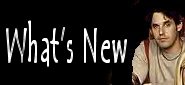 Check out what's New!