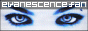 Evanescence Fan