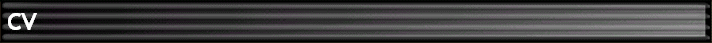 CV