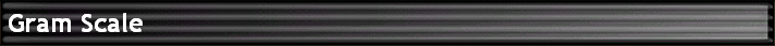 Gram Scale