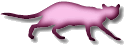 scatpink