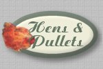 Hens & Pullets page