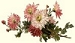flowers bar