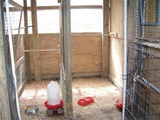 Inside pen