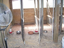 Another inside pen