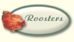 Click here to see My Roosters
