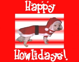 Santa Paws!