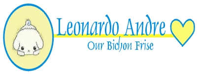 Welcome to Leonardo Andre