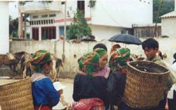 Bac Ha market