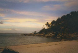 Bottle Beach