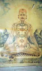 chakra points