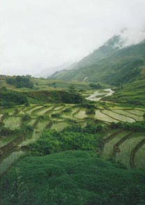Sapa valley