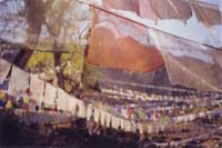 prayer flags