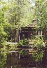 Hostel in the Forest