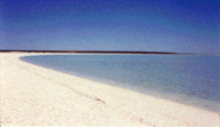paradise