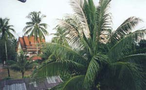 looking over the monastery wall