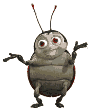 FRANCIS � RAPAZ...