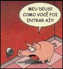 PORCO ENTALADO ?