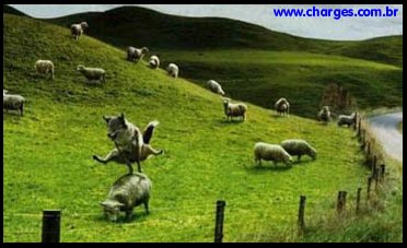 O LOBO MAU T� DOIDO!
