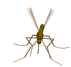 VOLTAR