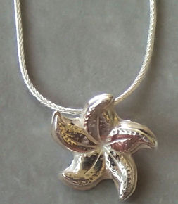 starfish