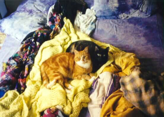 Cyrano and Gretchen in bed