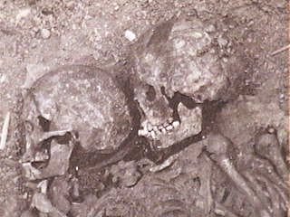 African Grimaldi skulls