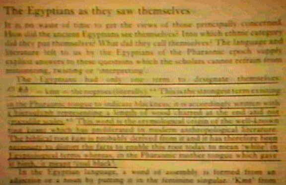 Egyptians as they saw themselves- article