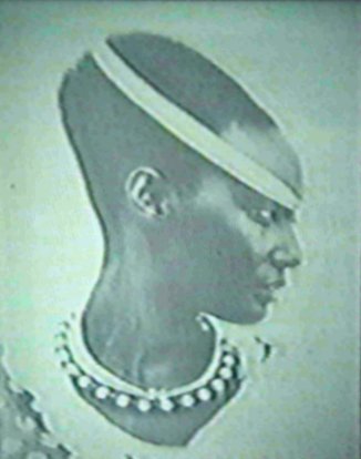 Elongated head