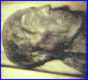 Mummy of Seti 1