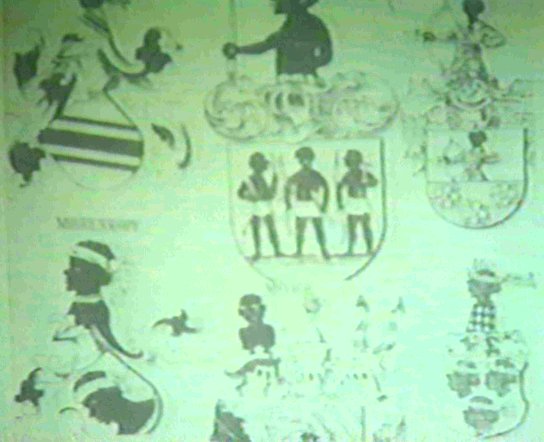 Negros_coat of arms